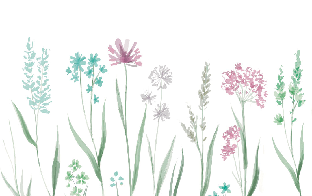 Amostra multicolorida sussurro de flores silvestres