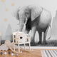Gentle Giant's Terrain Blanco y Negro