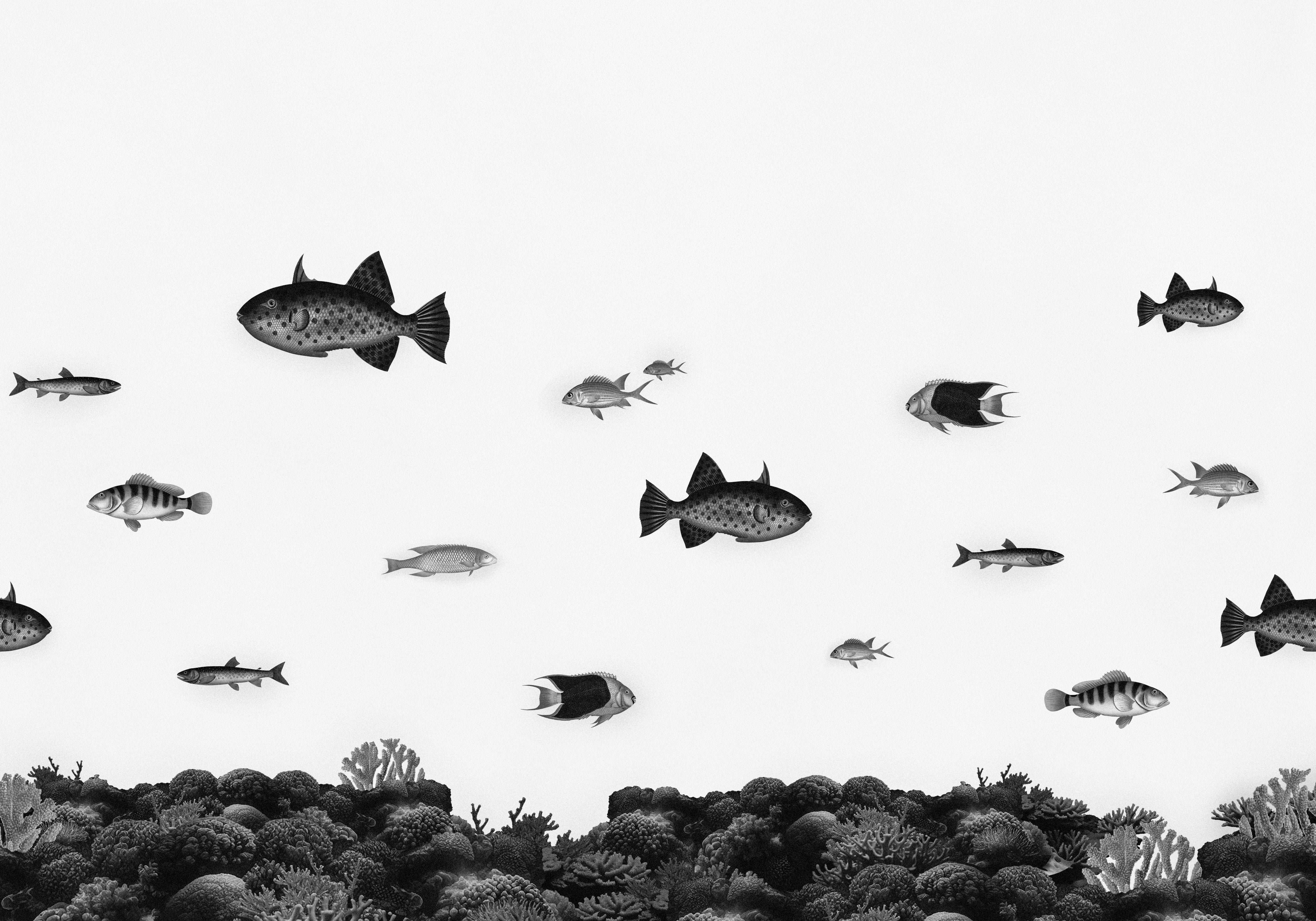 Stille Schwarz -Weiß -Ozean -Probe