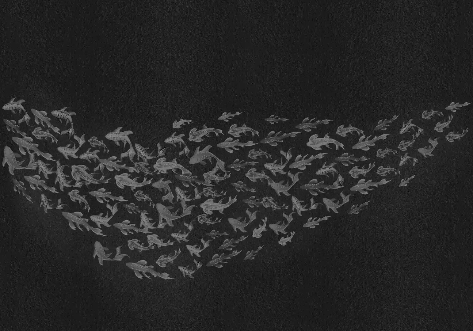 Muestra de Koi Whisper Blanco y negro