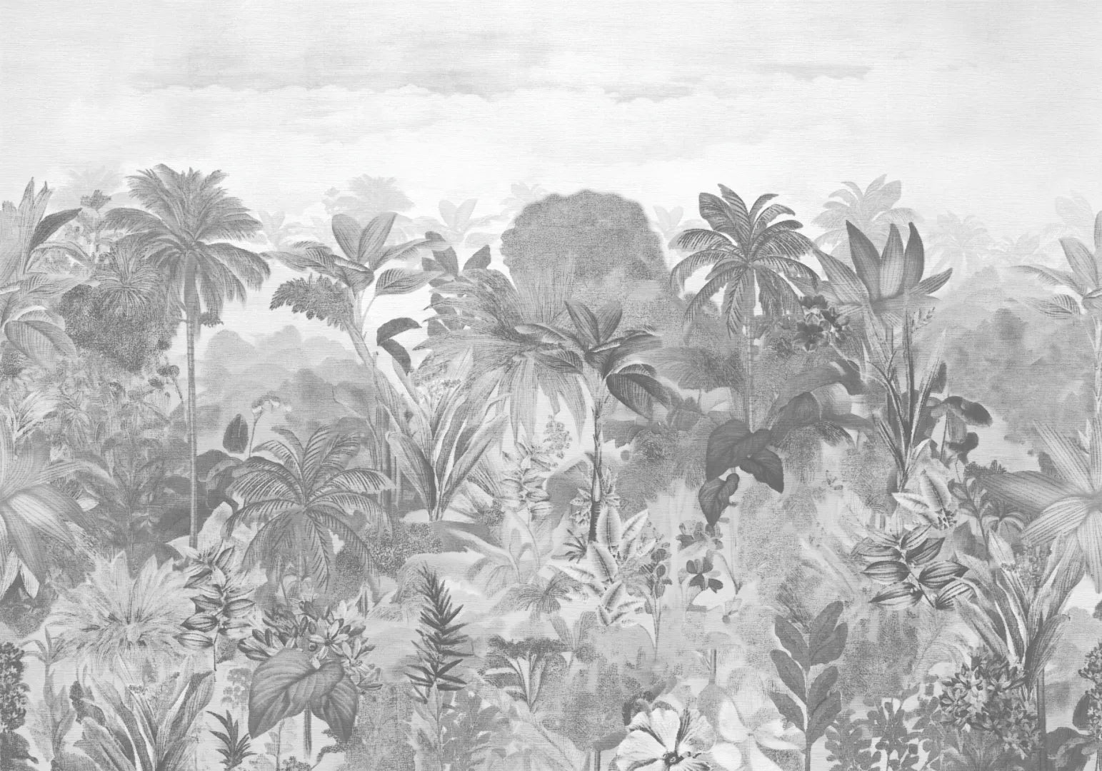 Muestra de Selva Eterna Blanco y negro