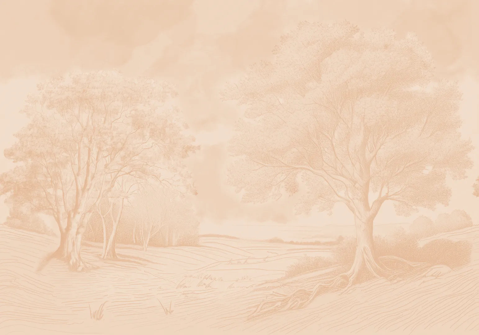 Échantillon de paysage classique brun