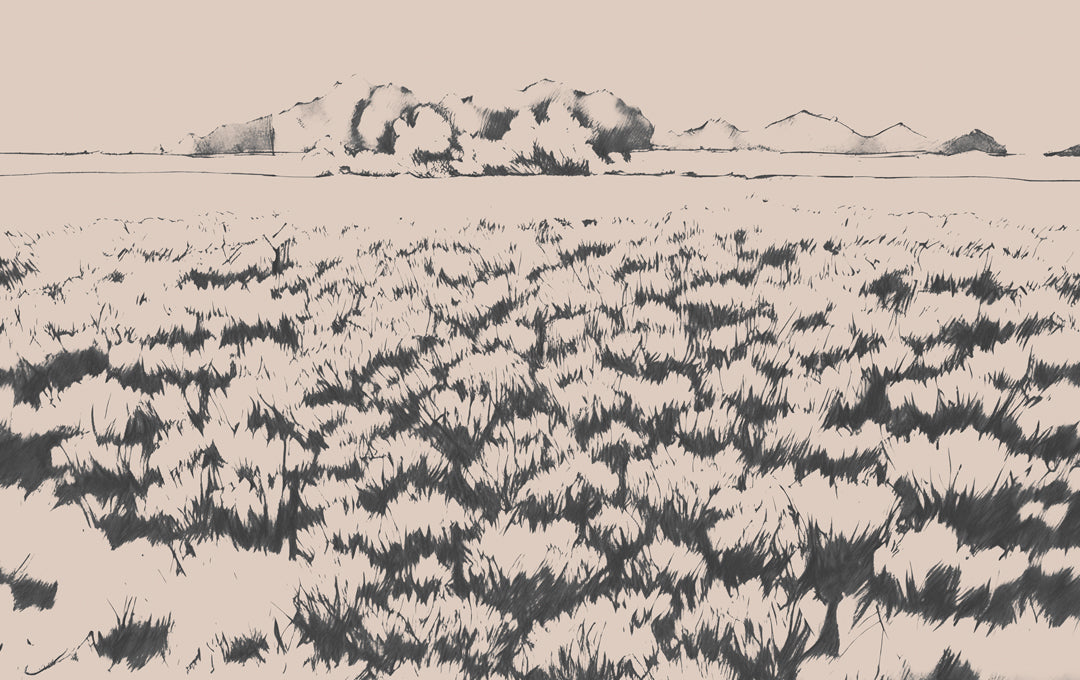 Échantillon de horizon serein beige