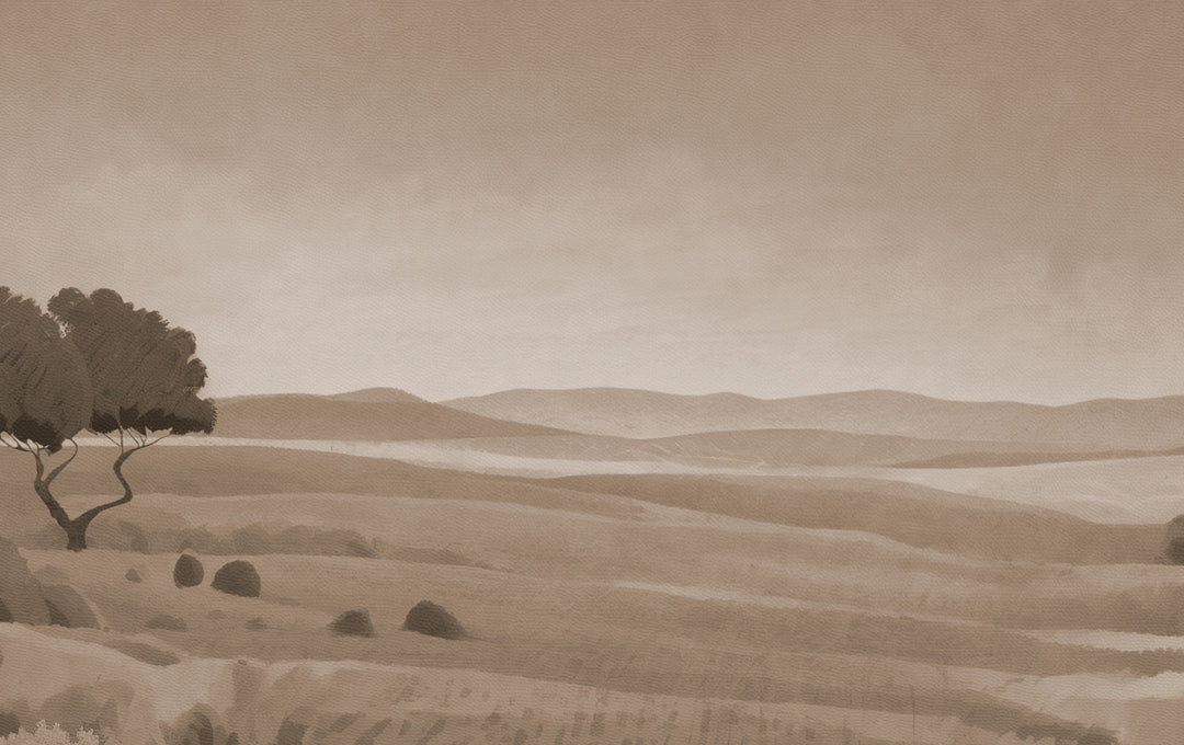 Échantillon beige harmonie