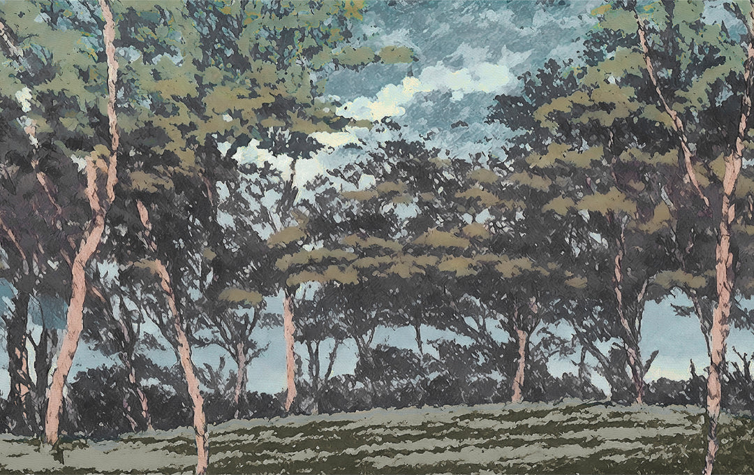 Échantillon de refuge dans la forêt multicolore