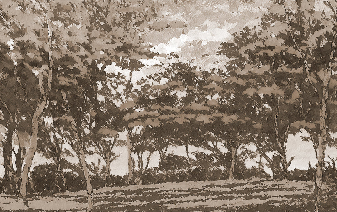 Échantillon de refuge dans la forêt beige