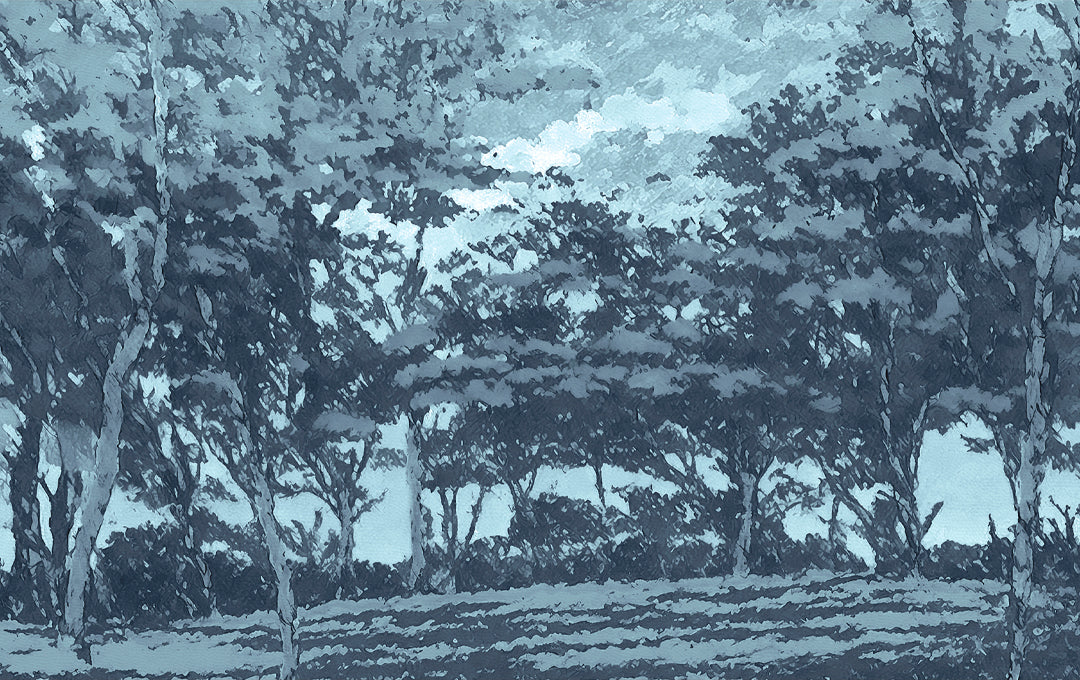 Échantillon de refuge dans la forêt bleue