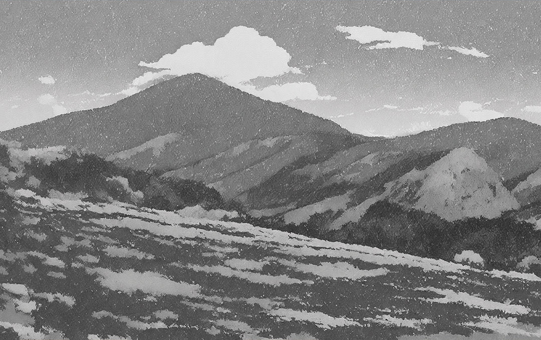 Échantillon d'alba montagneux gris