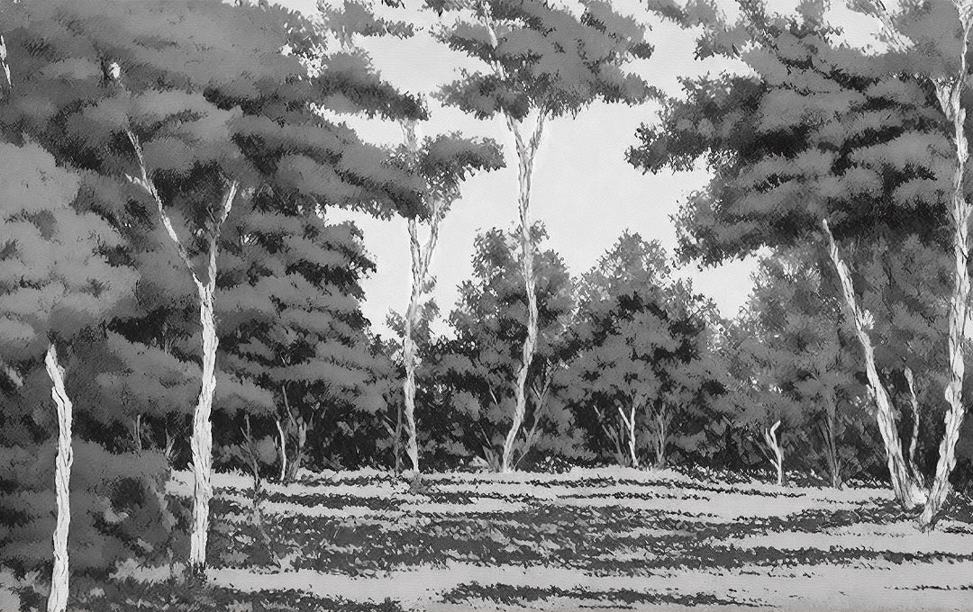 Échantillon de forêt subtile gris