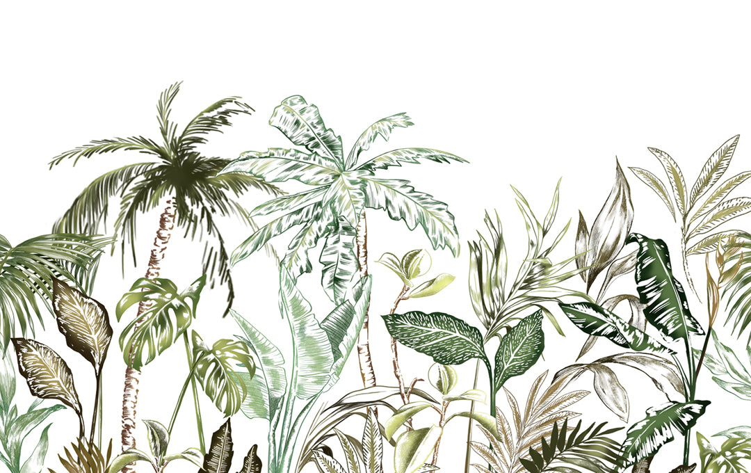 Échantillon de minuit vert de minuit