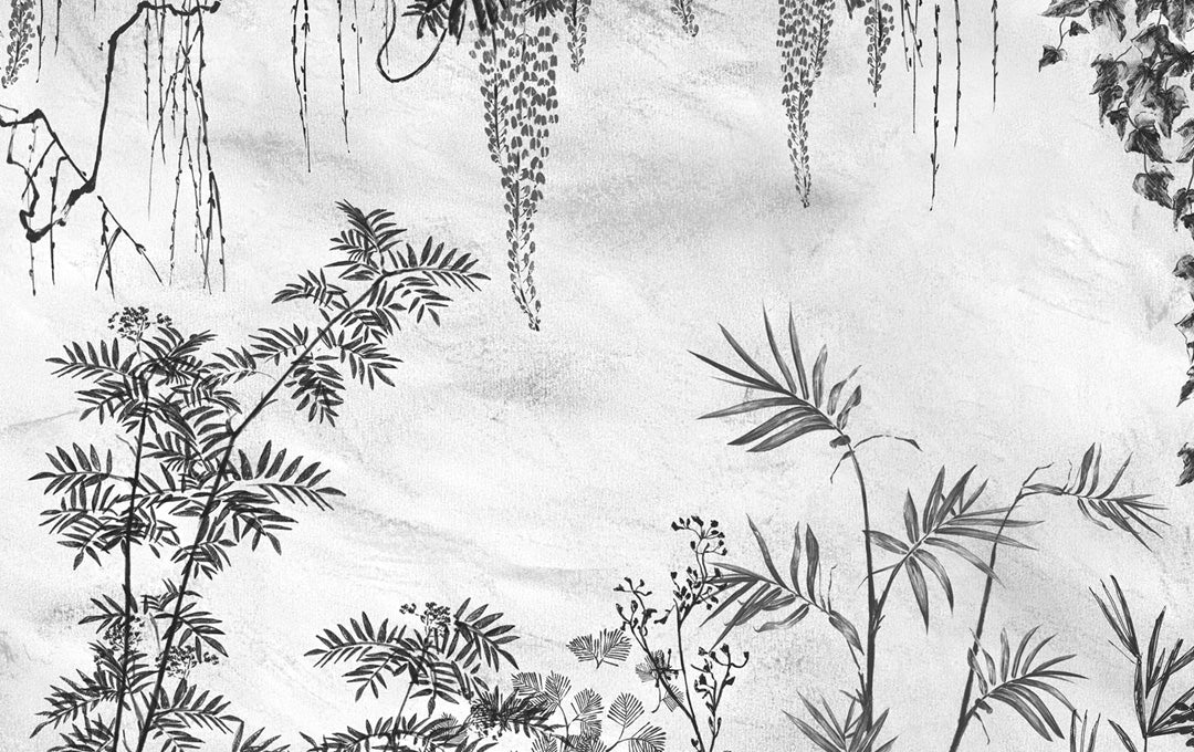 Chuchotant botanica chuchotant noir et noir