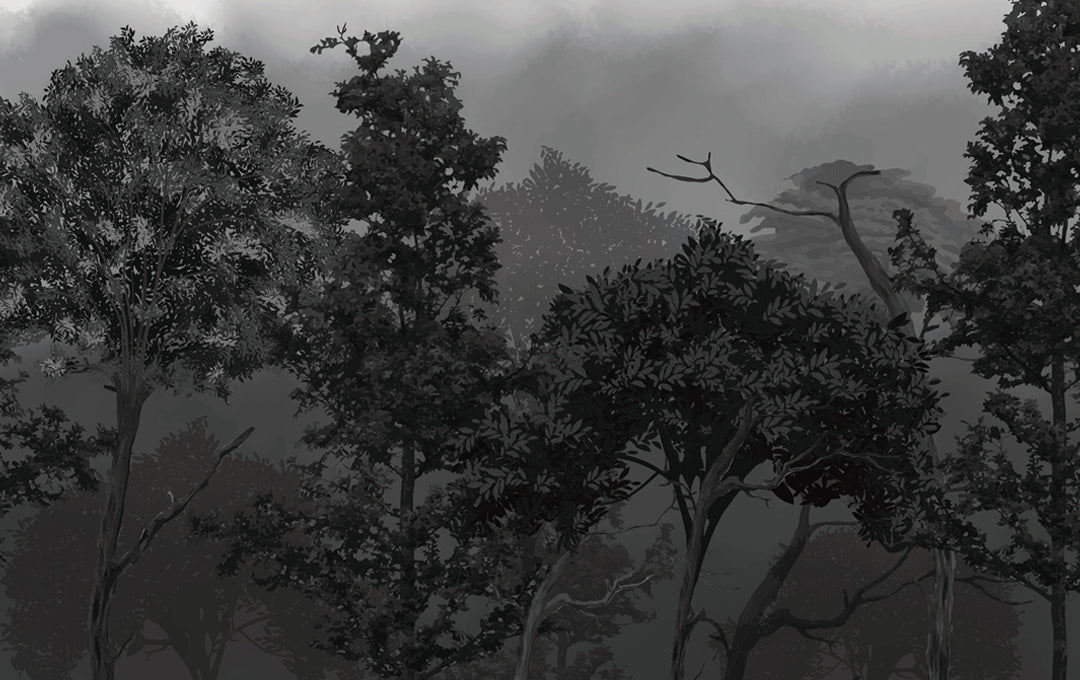 Échantillon de brume forestière