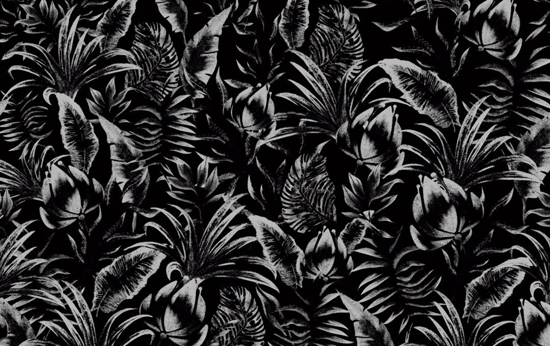 Black and white tropical shadows sample 2