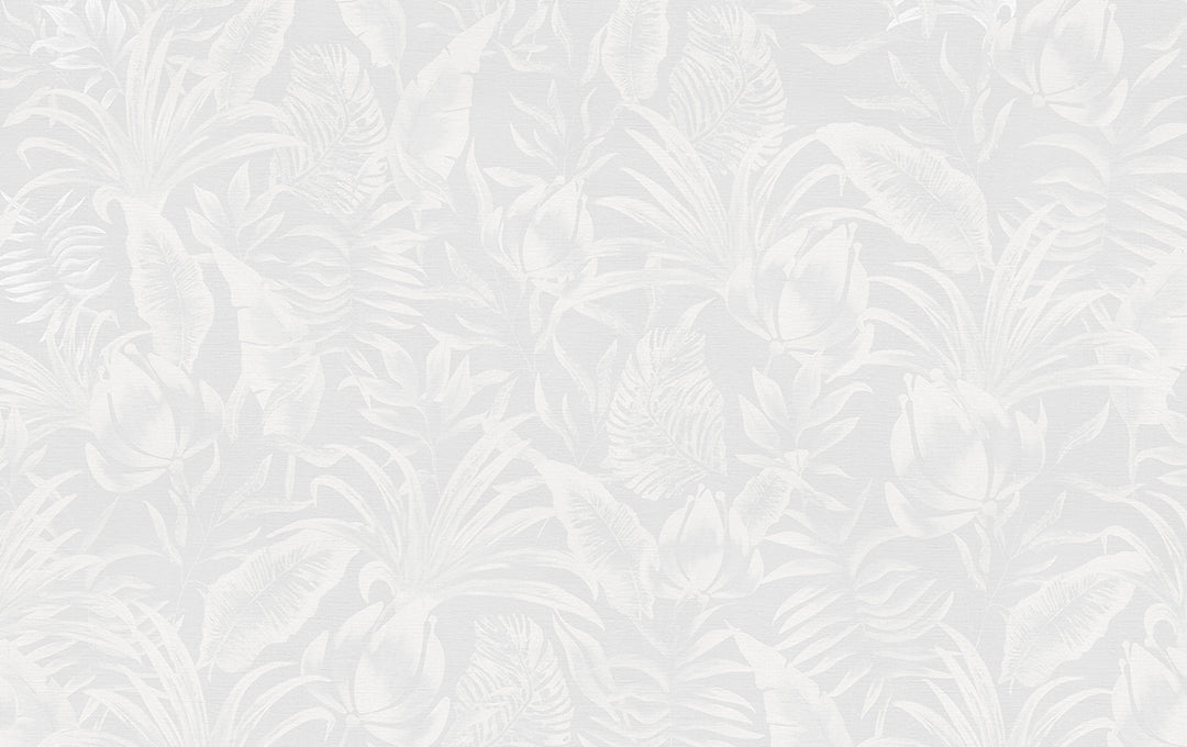 Échantillon d'ombre tropicale grise