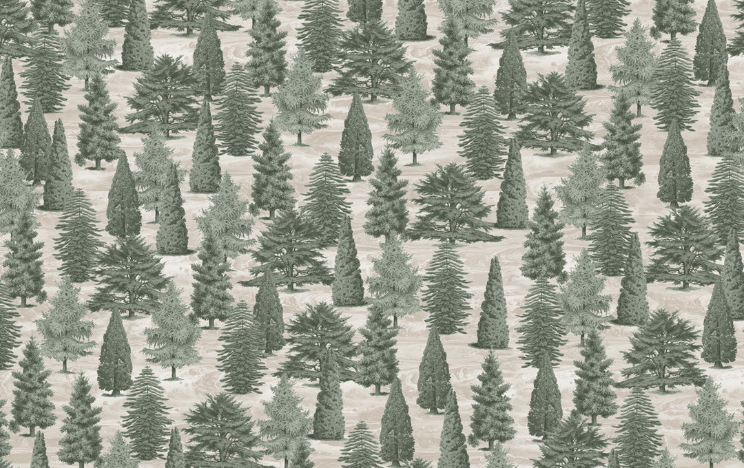 Échantillon de forêt green enchantée