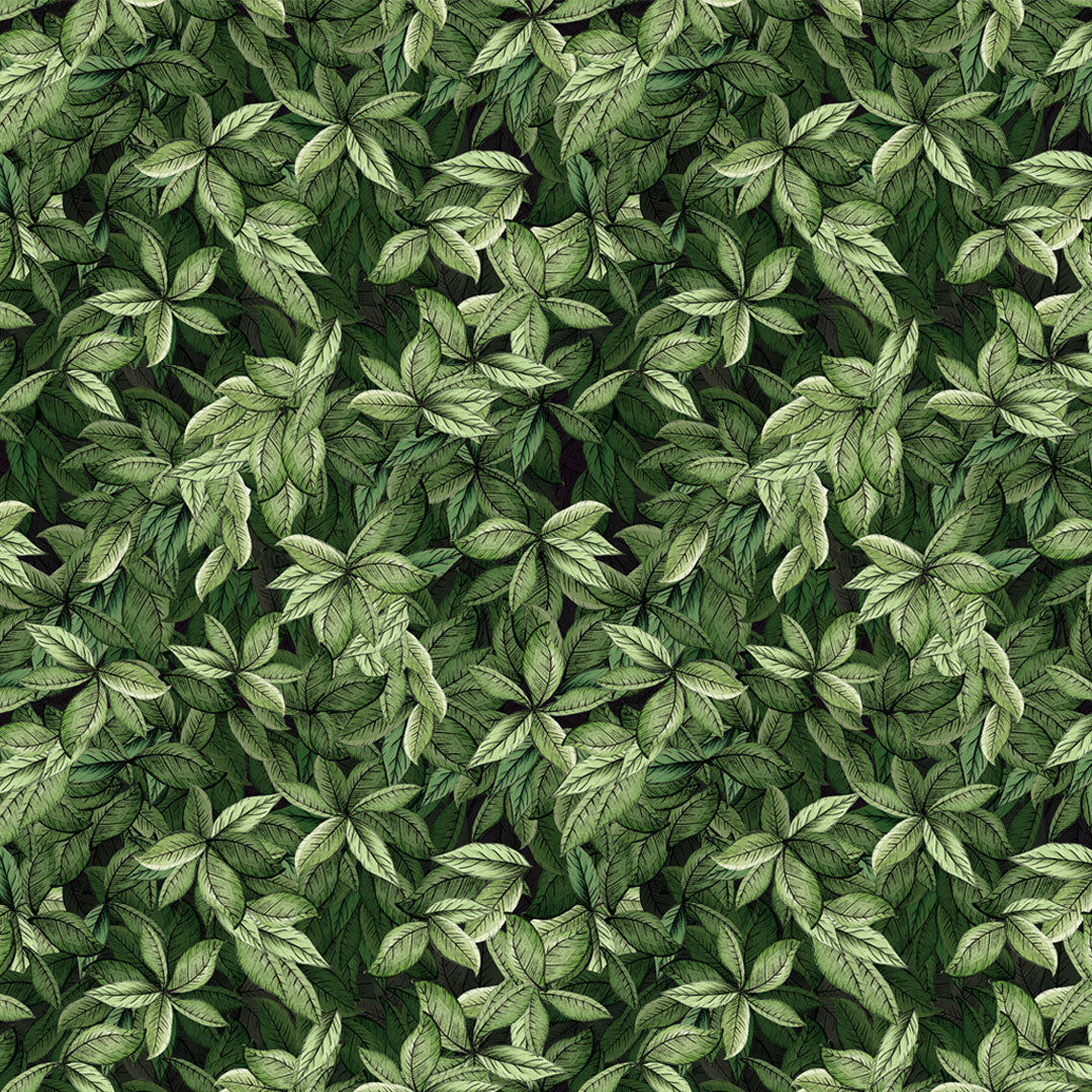 Amostra verde verde verde