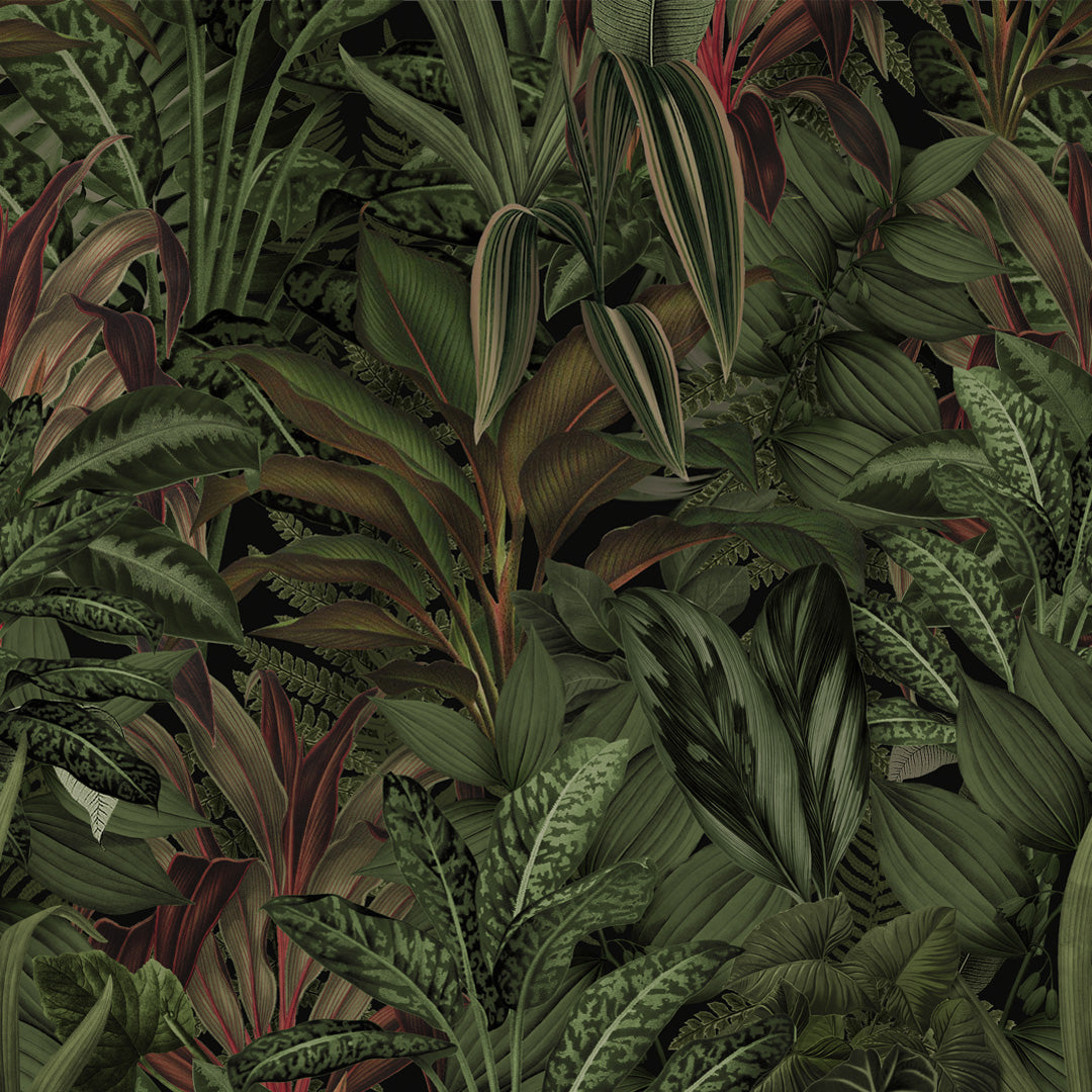 Amostra preta de tapeçaria tropical