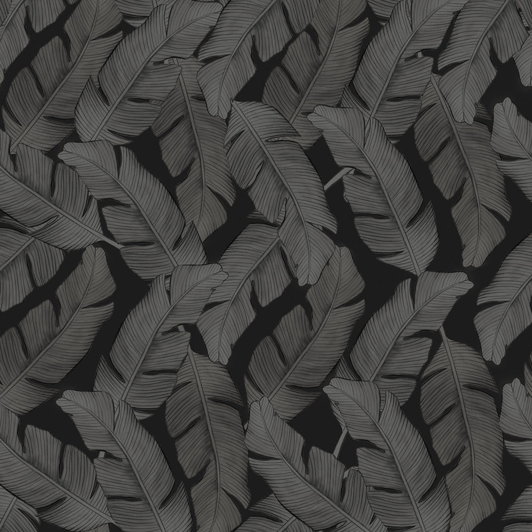 Zwart gebladerte monochrome monster