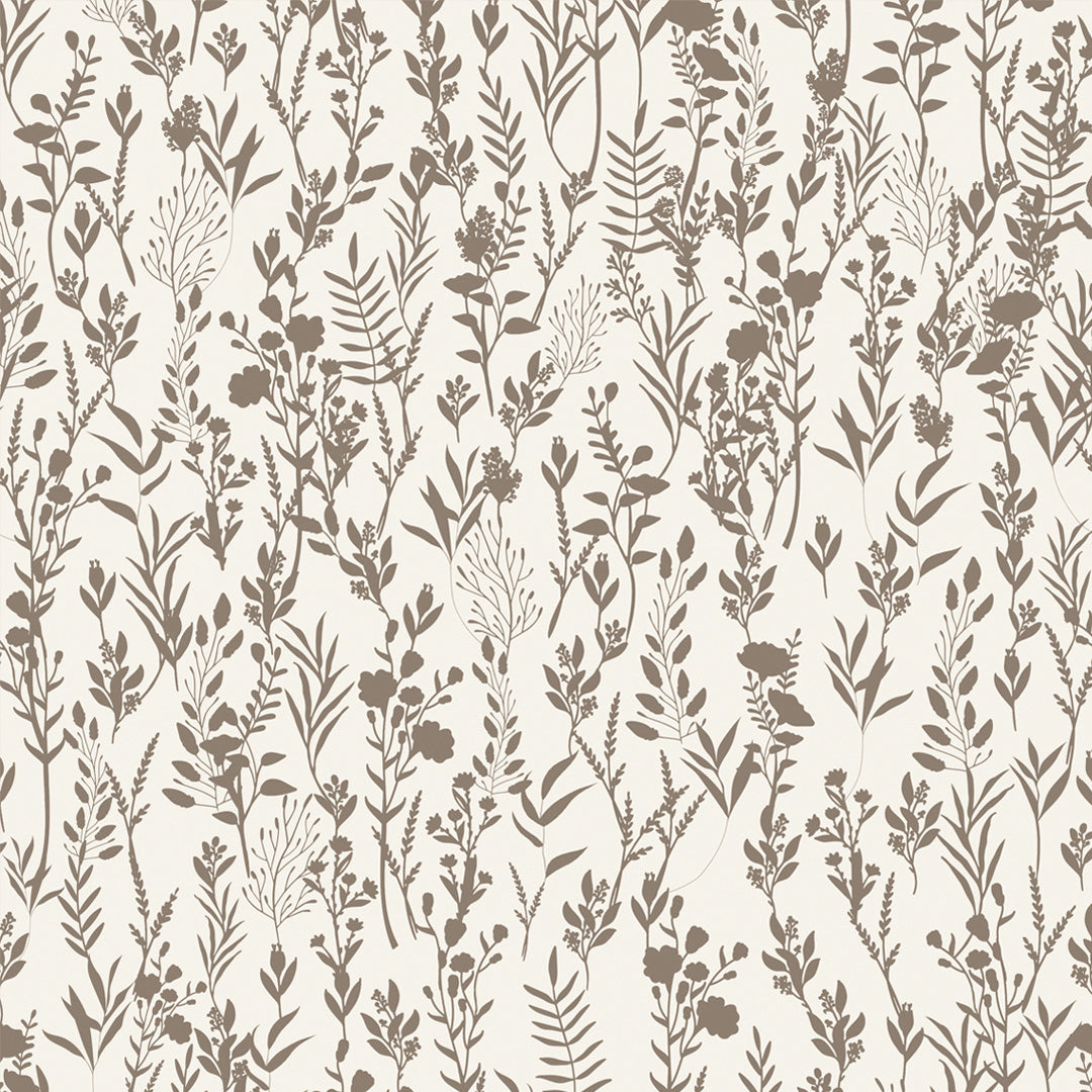 Échantillon brun de fleur de sérénité