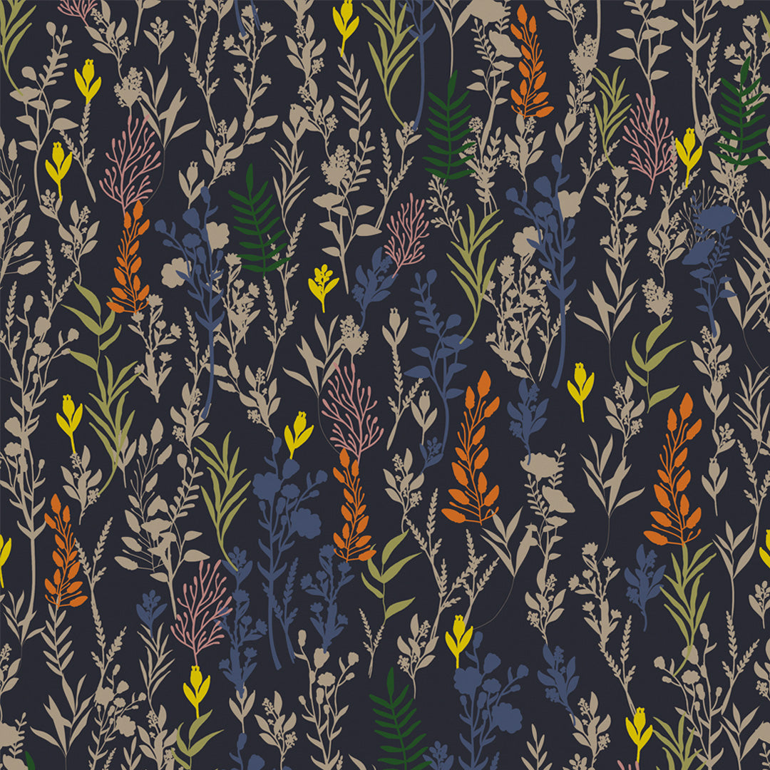 Échantillon noir de la fleur de la sérénité